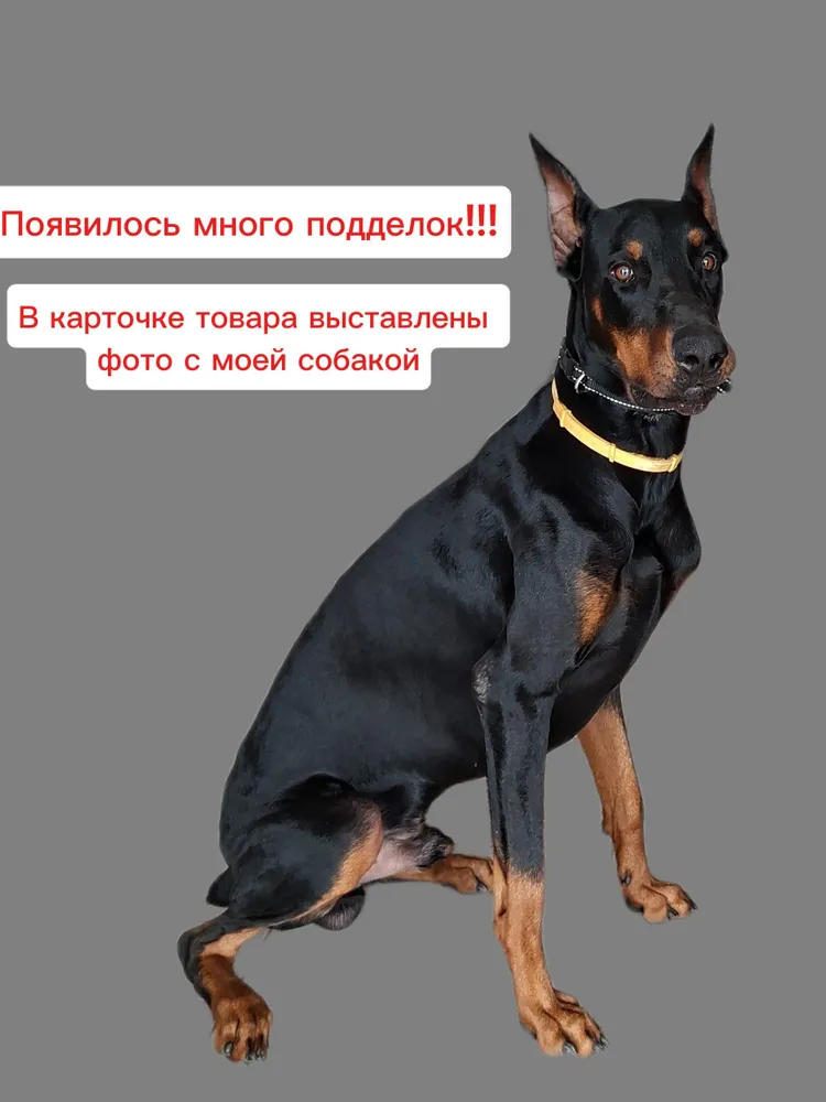 Корректор-удавка поведения собак, ринговка 50 см желто-зеленый, зеленый, фото 4