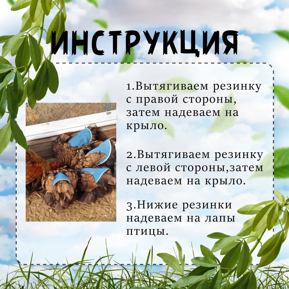 Попоны для кур 3 шт., 3 шт, фото 3