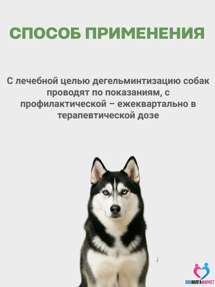 Суспензия Фебтал-комбо от глистов для щенков крупных и средних пород 10 мл, 10 мл, фото 6