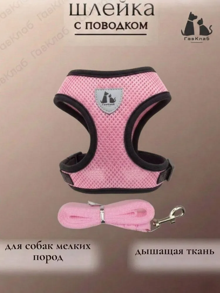 Шлейка для собак мелких и средних пород с поводком, вариант