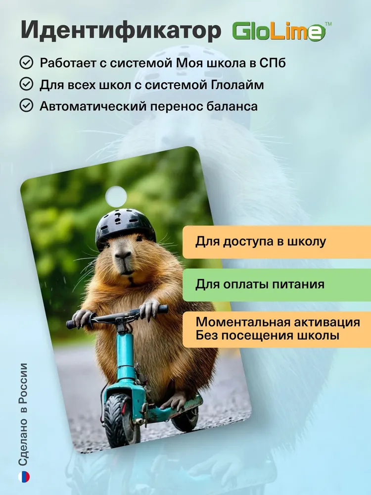 Карта школьника "КАПИБАРА НА САМОКАТЕ", вариант