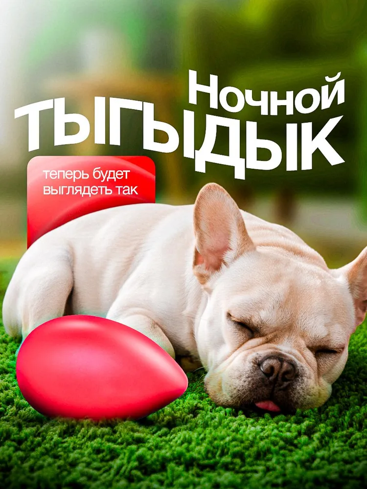 Игрушка для собак "Неуловимое яйцо" 18 см, вариант, фото 4