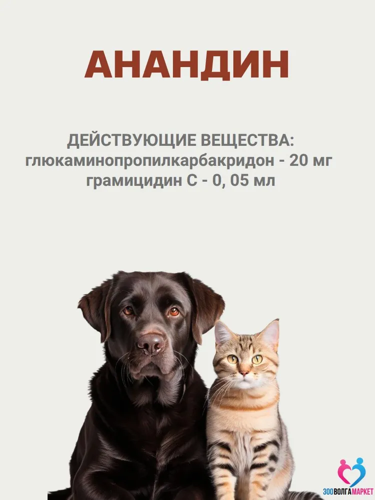 Анандин капли ушные противовоспалительные для собак и кошек 5 мл, 5 мл, фото 3