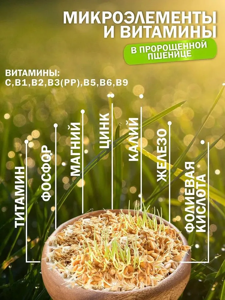 Пшеница для проращивания, заваривания, витграсс 0,5 кг, 500 г, фото 4