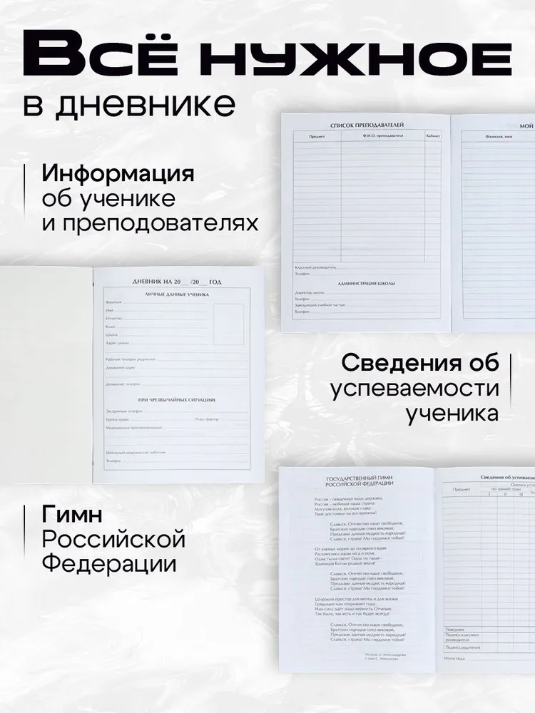 Дневник школьный, 1-11 класс, вариант, фото 4