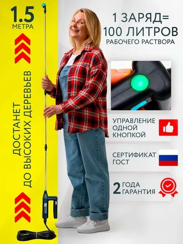 Что происходит с Ozon?