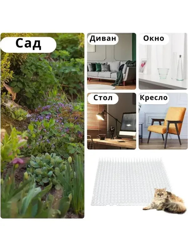 Корректор поведения для животных, вариант, фото 6