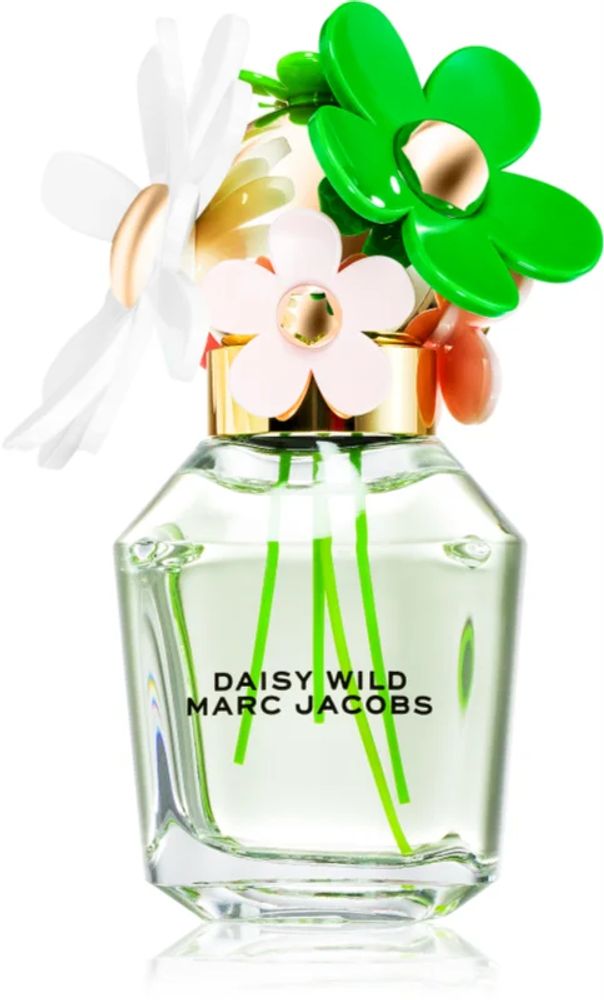 wild daisy net worth