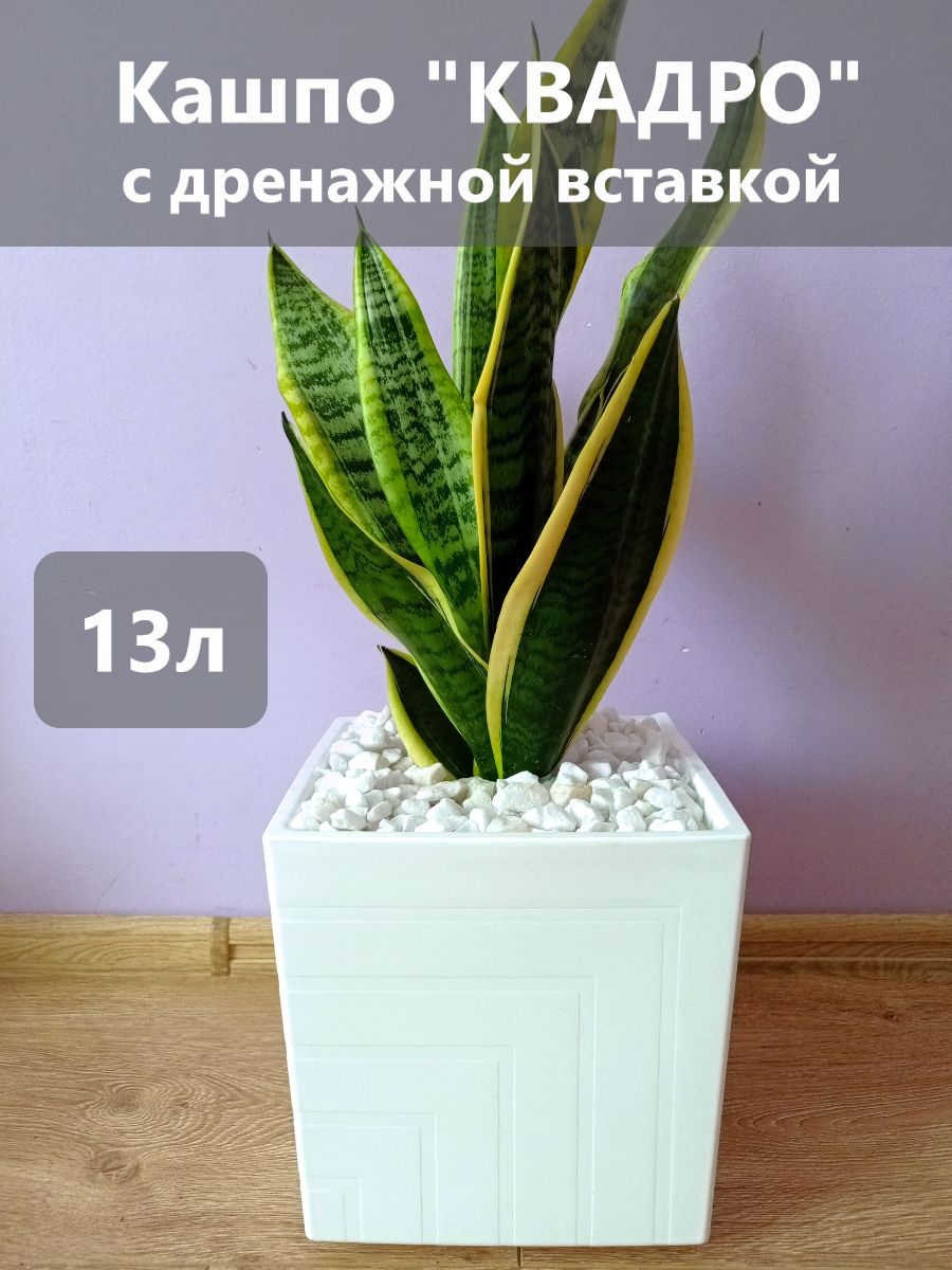 ГоршокдлядоманапольныйбольшойКвадро13л(белый)