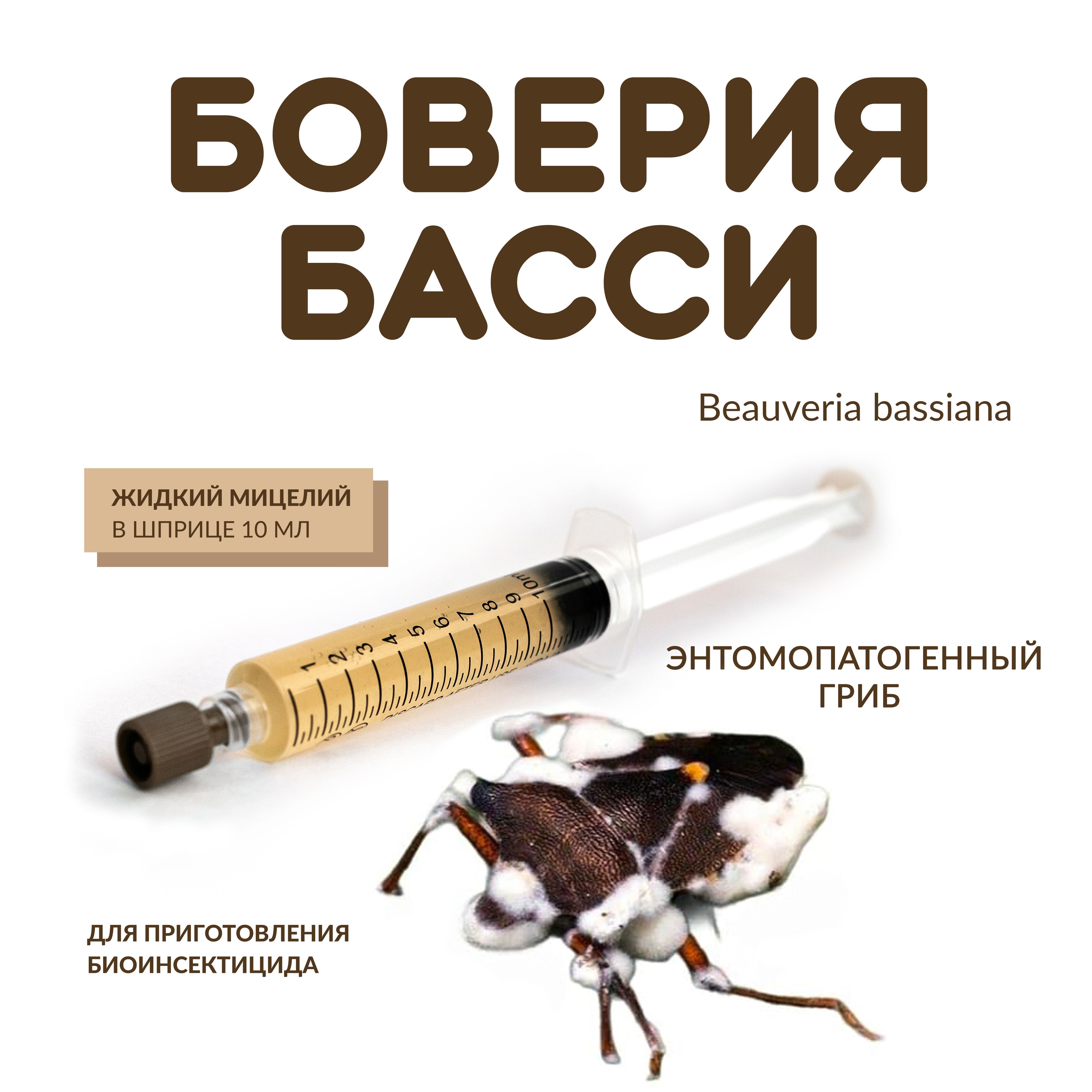 ЖидкиймицелийБоверияБасси
