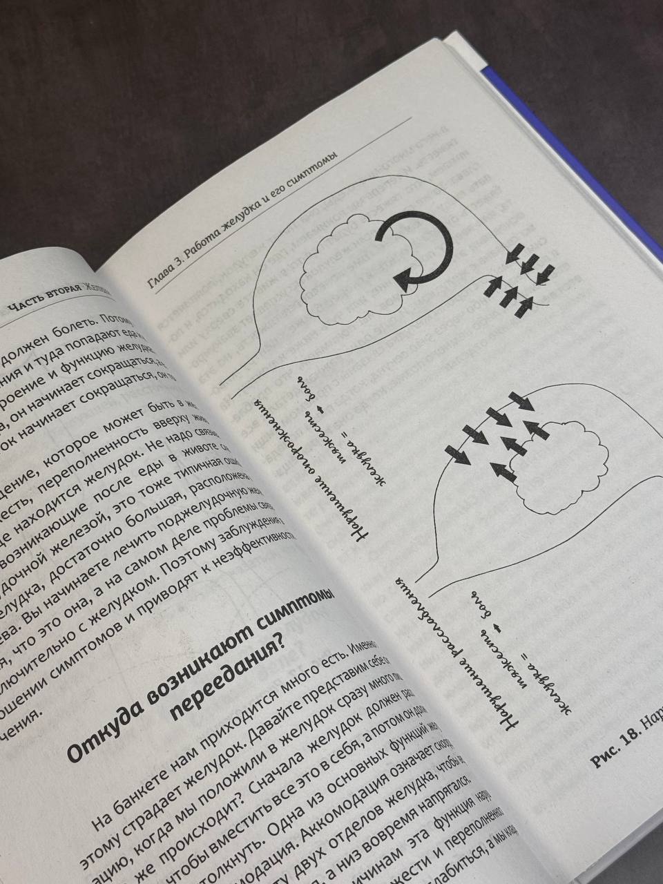 Гастро-книга. Пищеварение вдоль и поперек | The Gastro Book: Digestion Inside and Out - Ozon image 3