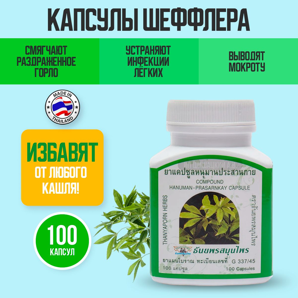 Thanyaporn Herbs Таблетки от кашля с Шеффлерой,100 капсул. - купить с  доставкой по выгодным ценам в интернет-магазине OZON (971444332)