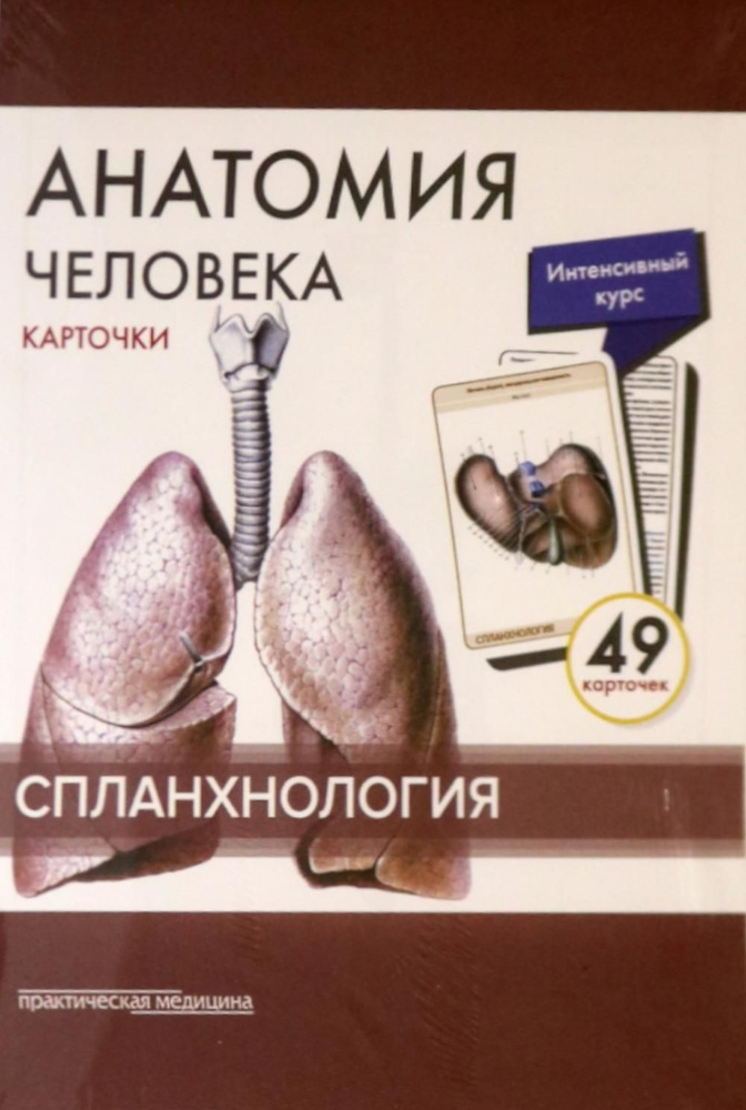 Анатомия человека: карточки. (49 шт). Спланхнология | Сапин Михаил ...