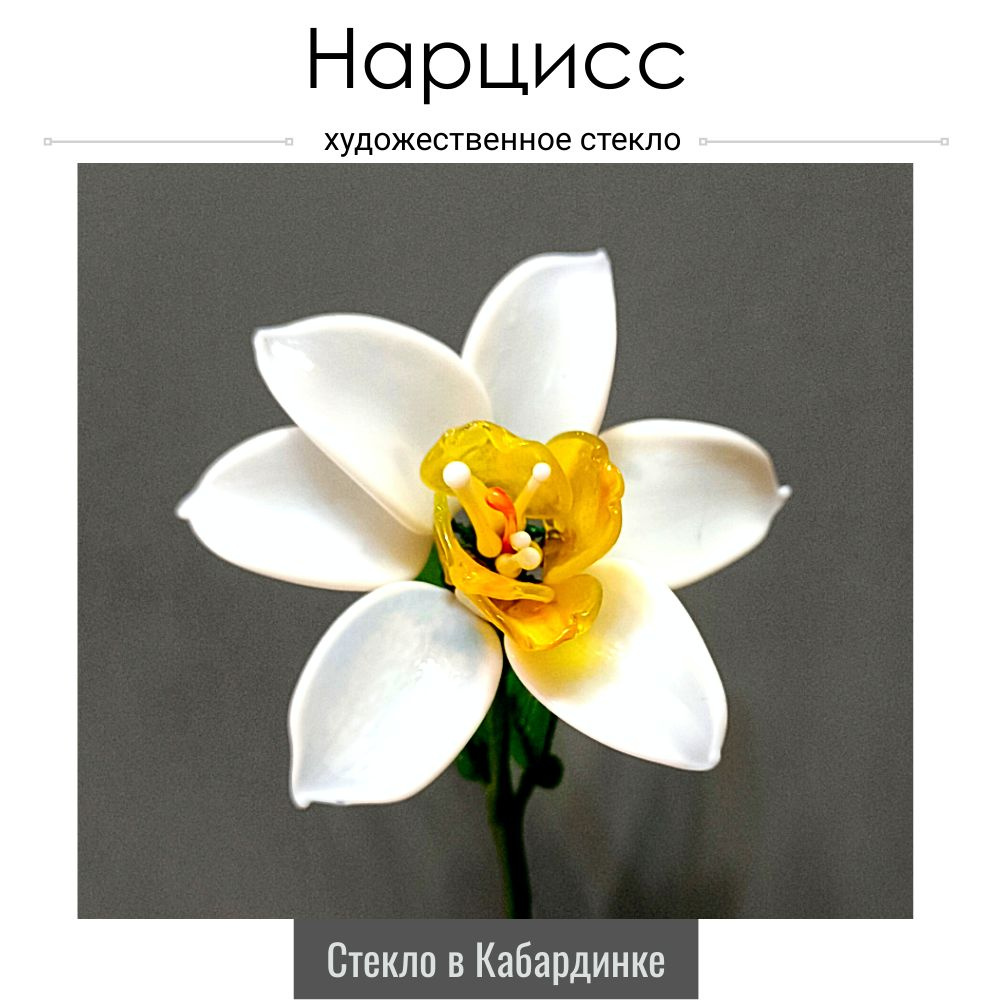 Нарциссы к 8 марта (Narcissus Tete a Tete)