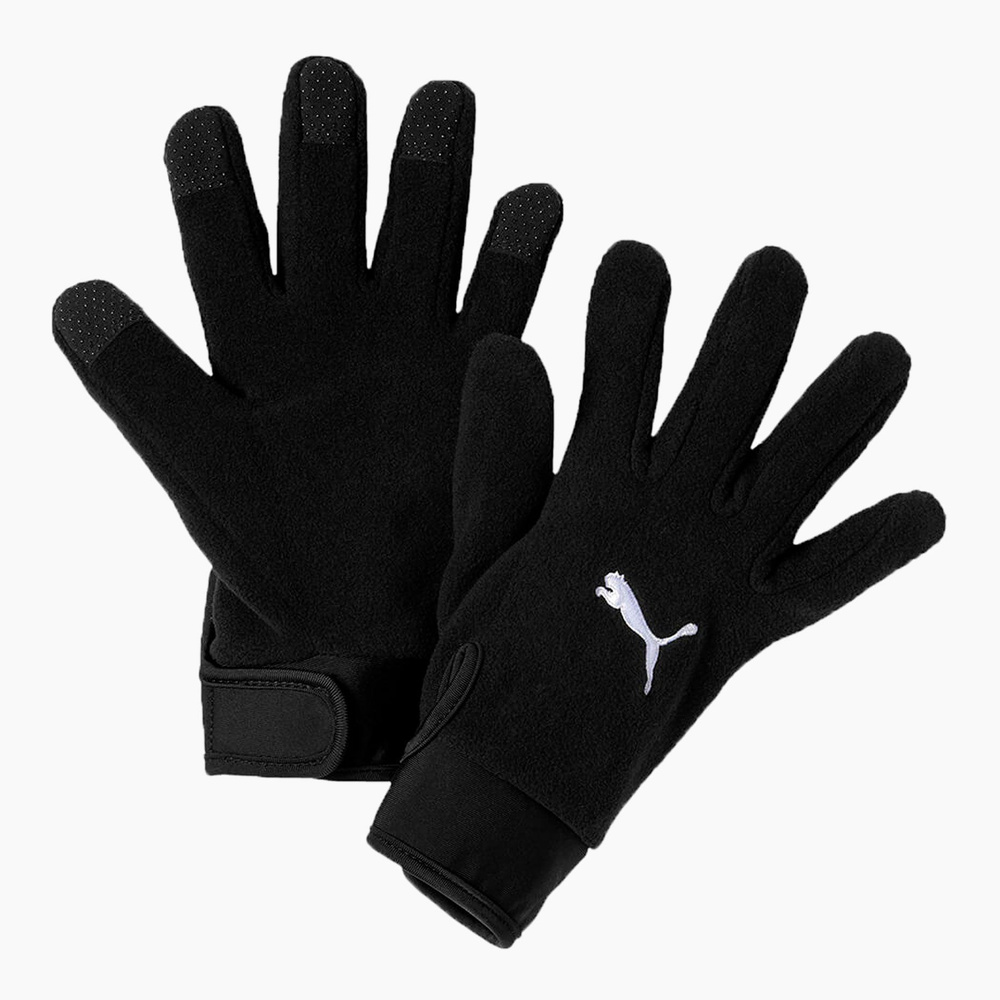 Перчатки Puma teamLIGA 21 Winter gloves #1