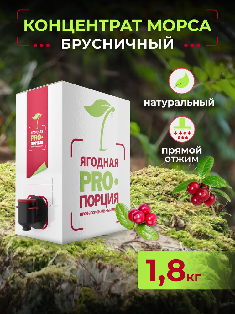 Концентрат для напитков морс брусничный, 1,8 кг #1