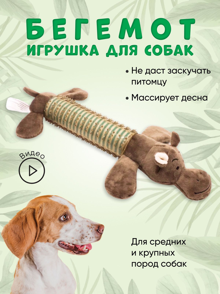 Игрушка для собак for cats and dogs, Бегемот #1