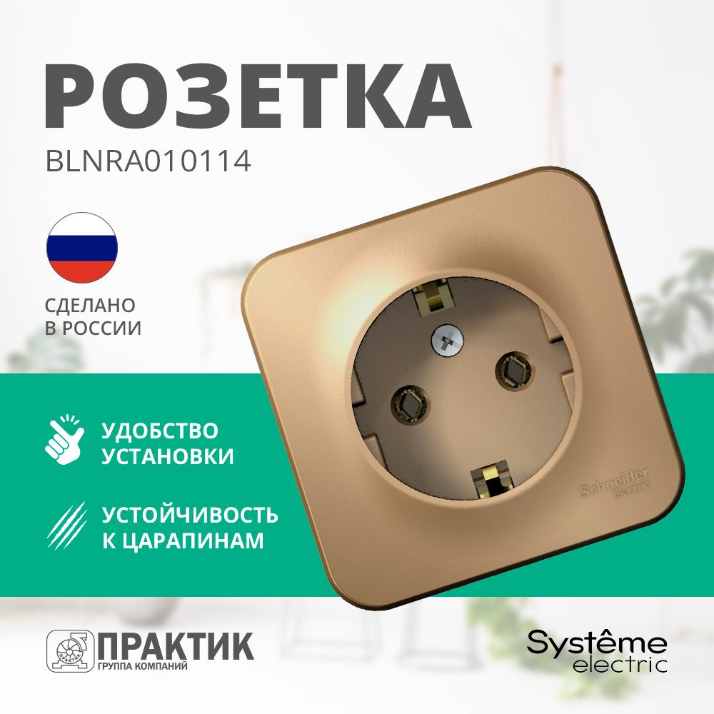 Розетка одноместная Blanca Systeme Electric с заземлением без шторок для открытой проводки Титан BLNRA010114 #1