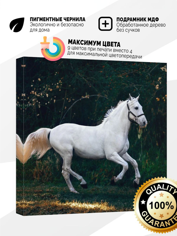 Картина на холсте 60x60 Белый конь #1