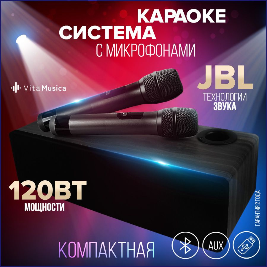 Караоке система для дома с двумя микрофонами Vita Musica - купить с  доставкой по выгодным ценам в интернет-магазине OZON (1430902395)