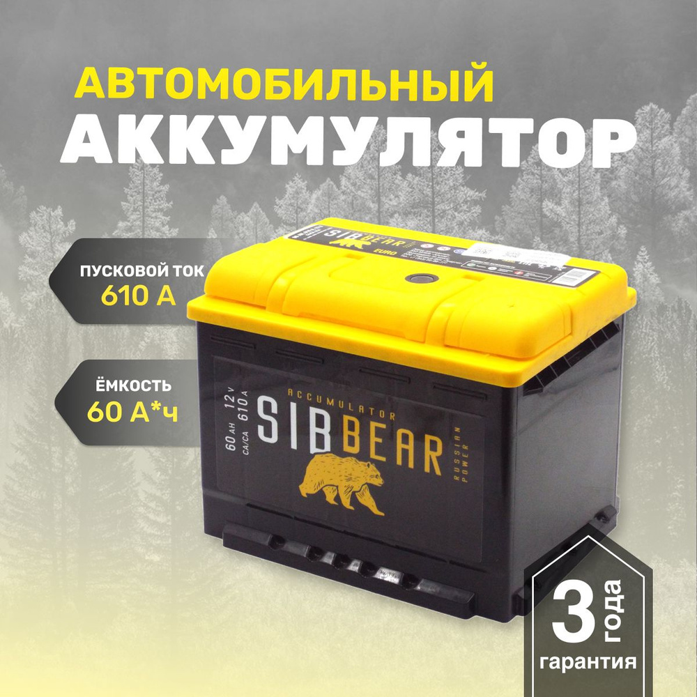 Аккумулятор для автомобилей SIBBEAR 60 А*ч о.п 242х175х190 Обратная  полярность АКБ для машины