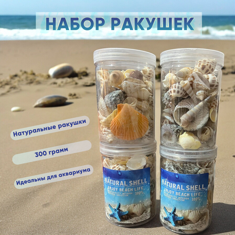 Набор ракушек, декор для аквариума, ракушки морские 300гр.