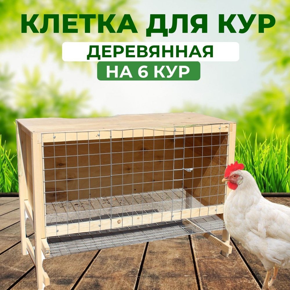 Клетка для содержания кур несушек - livi chicken cages