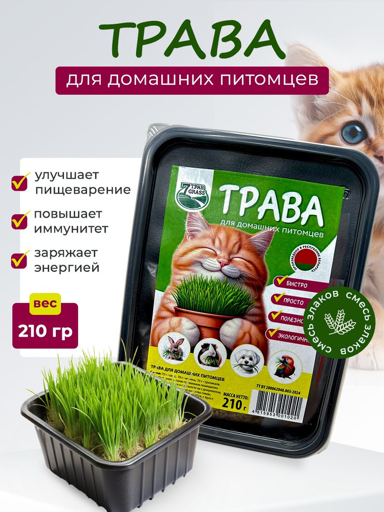 Трава для кошек для проращивания, 210 грамм #1