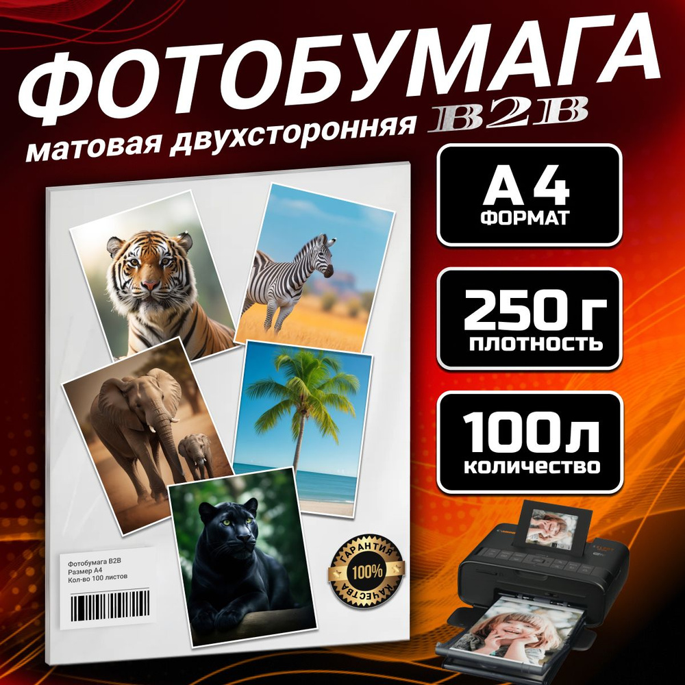 Фотобумага B2B двухсторонняя матовая 250 гр A4 100 листов #1