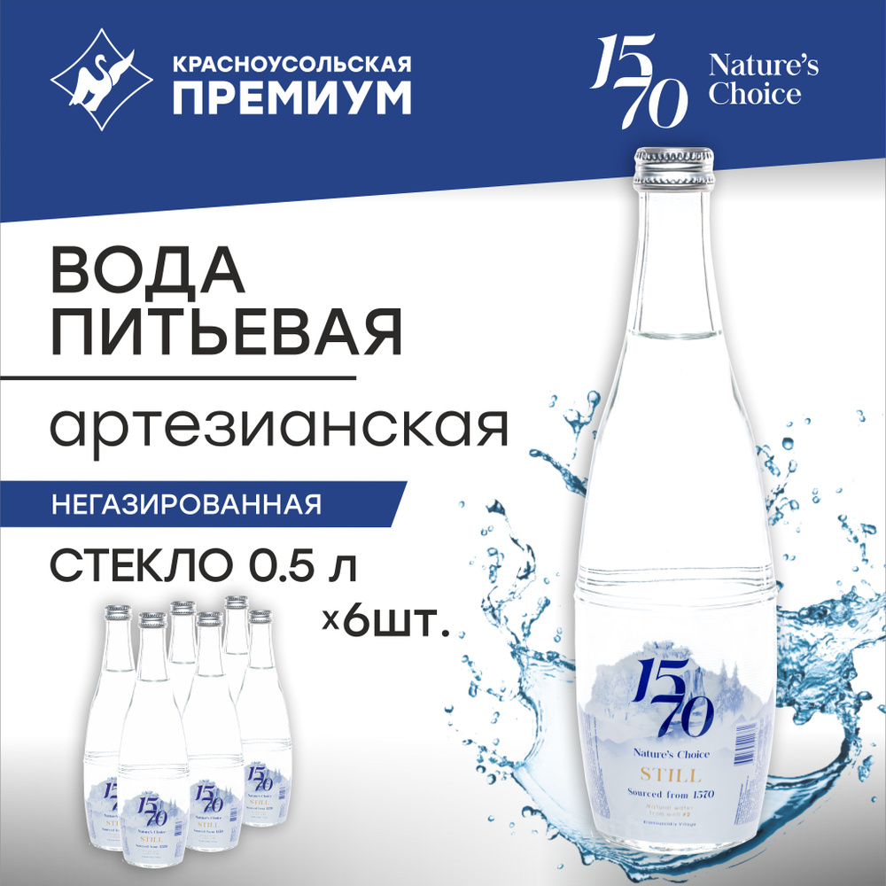 Вода питьевая негазированная (СТЕКЛО) 1570 Nature's Choice / 0,5 л, 6 шт.  #1