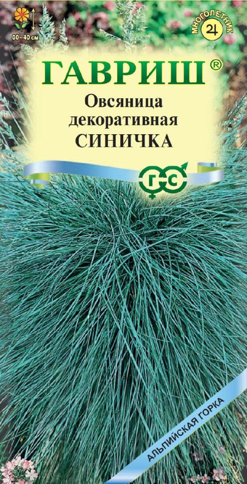 Семена ОВСЯНИЦА многолетняя ДЕКОРАТИВНАЯ (ЛЕДНИКОВАЯ) СИНИЧКА (0,1 грамм) Гавриш  #1