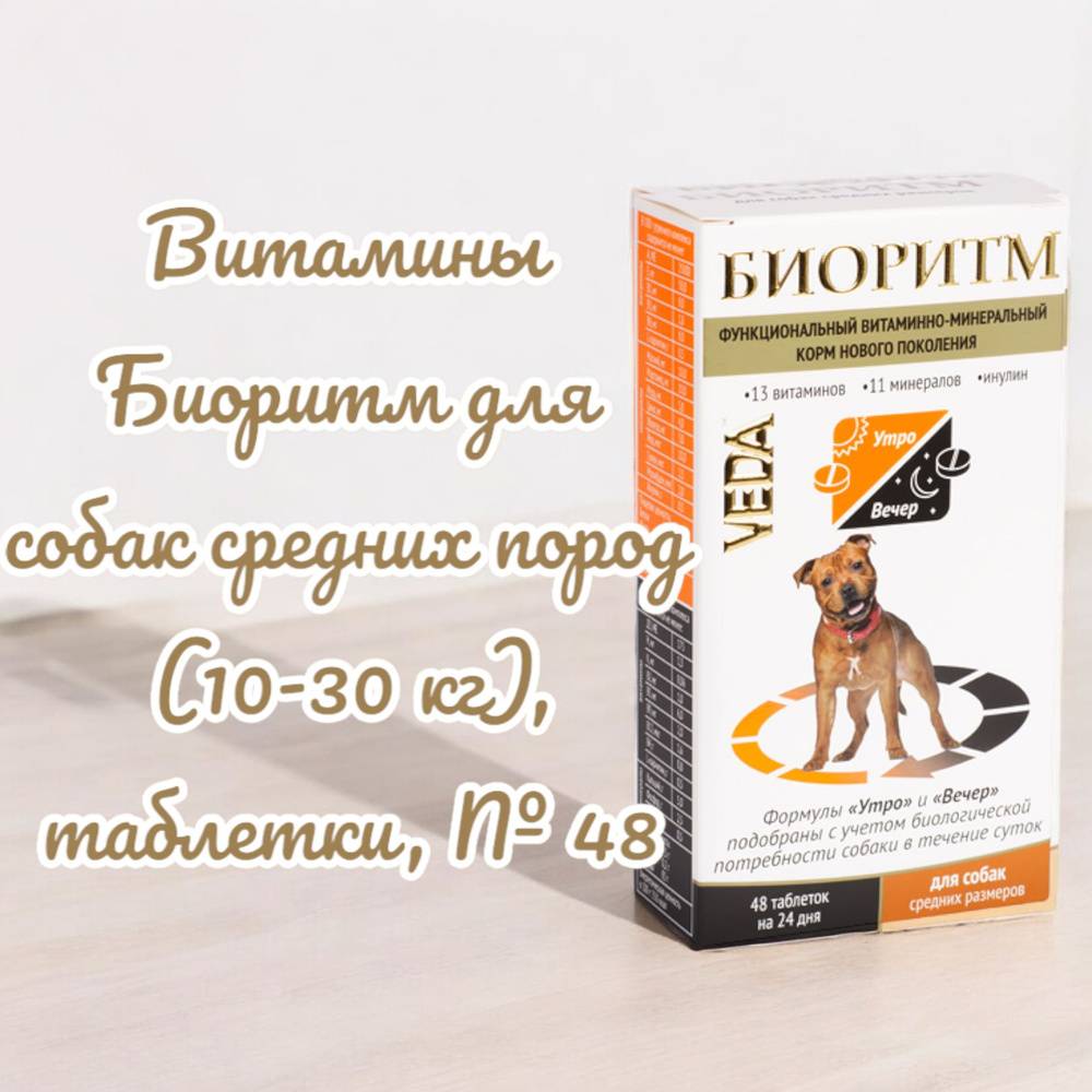 Витамины Биоритм для собак средних пород (10-30 кг), таблетки, № 48  #1