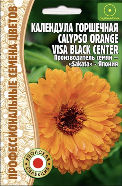 Календула горшечная Calypso Orange Visa Black Center, семена 5 шт, 1 пакет, ЧК  #1