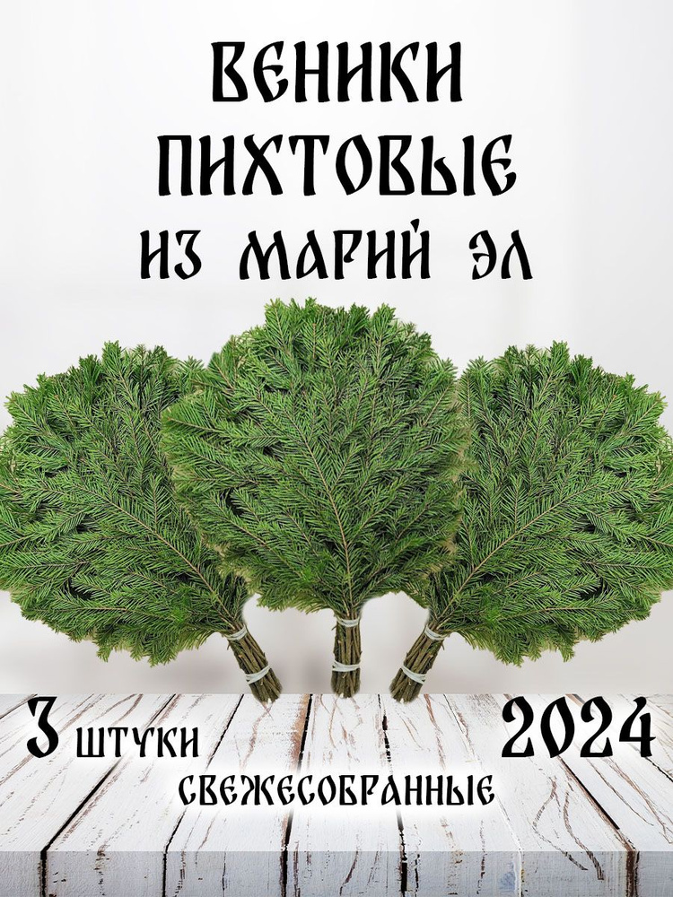 Береза Веник для бани Пихтовый, 3 шт.  #1