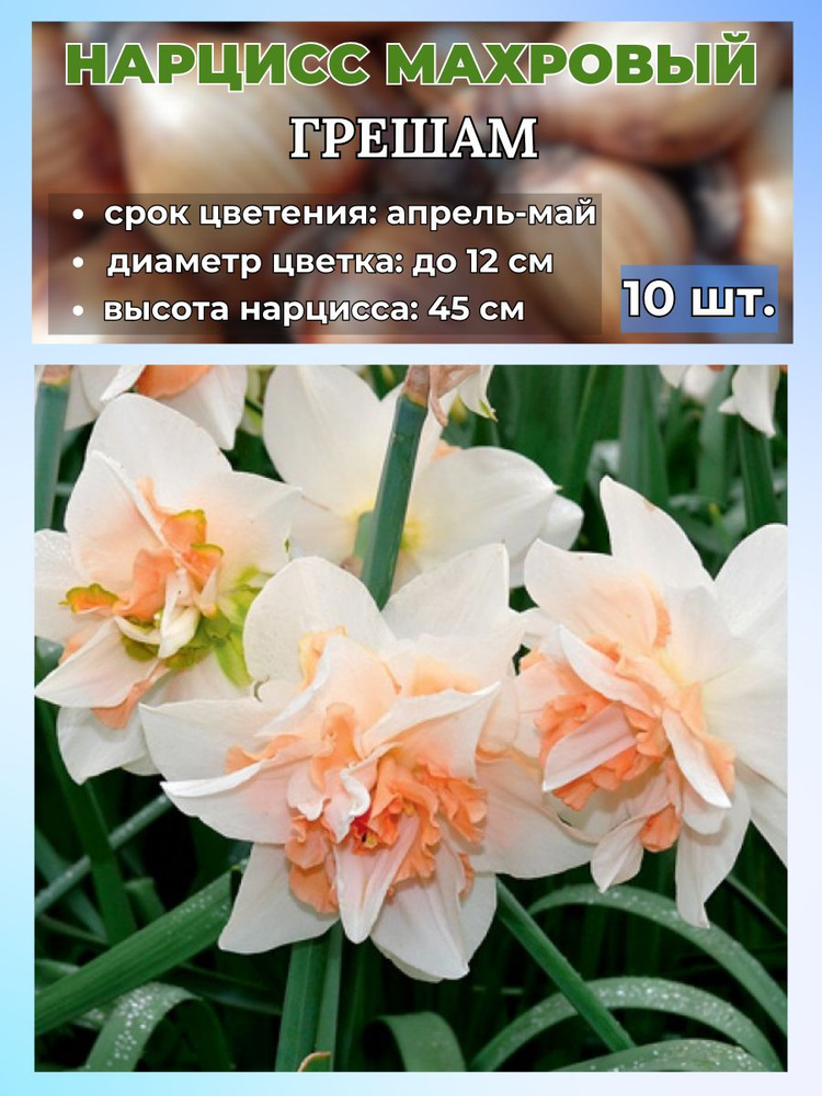 Magic Blooming Garden Луковицы,0.15кг #1