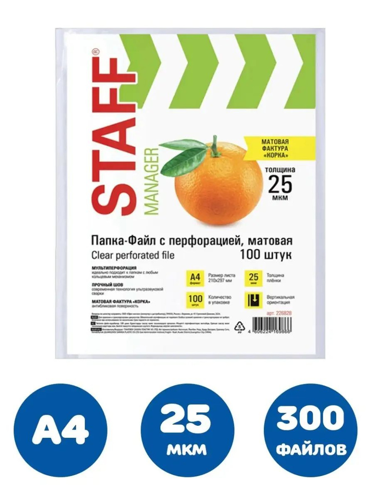 Staff Файл A4 (21 × 29.7 см) 100 шт., 25 мкм #1