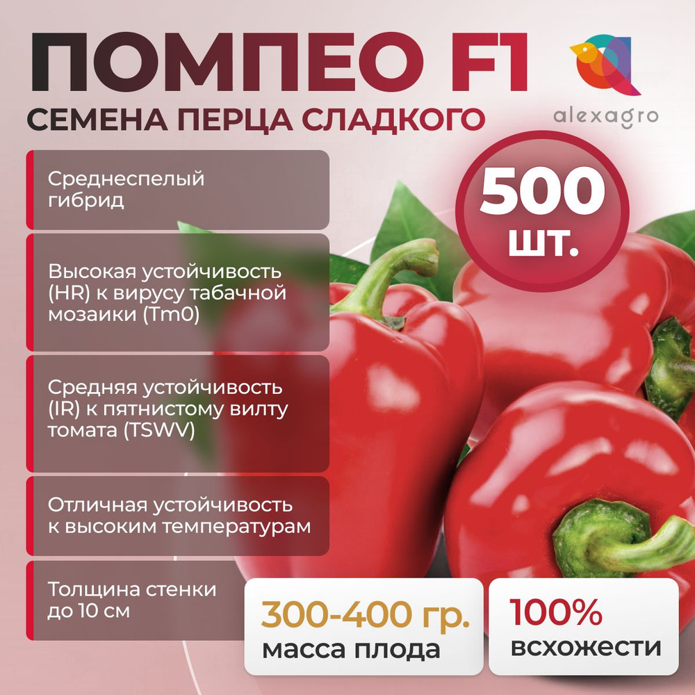 Помпео F1 семена сладкого перца, 500 шт. (Nunhems / ALEXAGRO). Высокоурожайный ламуйо гибрид для открытого #1