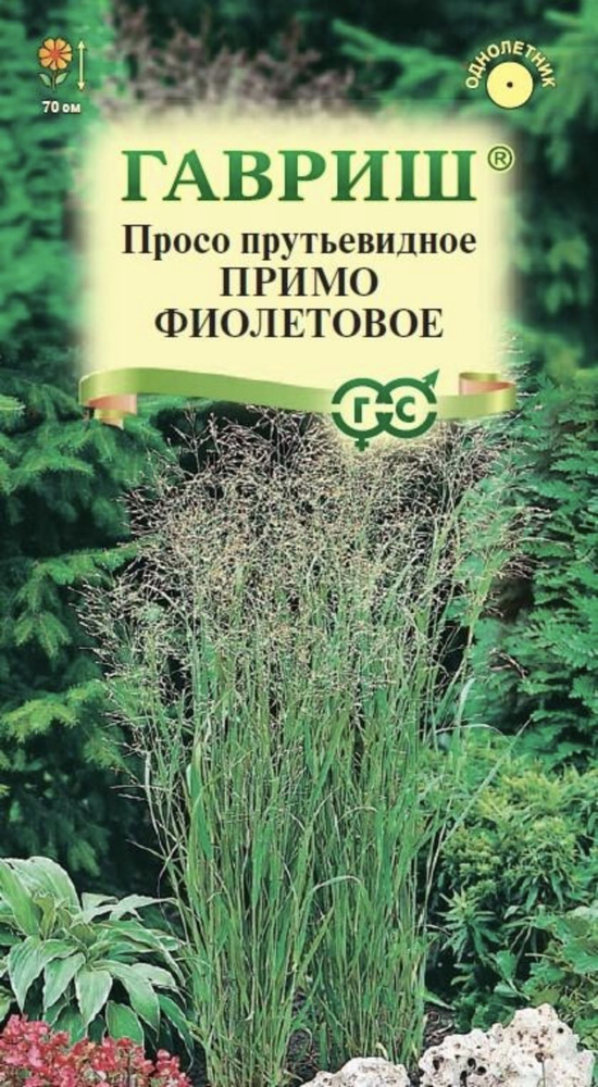 Просо декоративное Примо Фиолетовое, 1 пакет, семена 0,5 г, Гавриш  #1