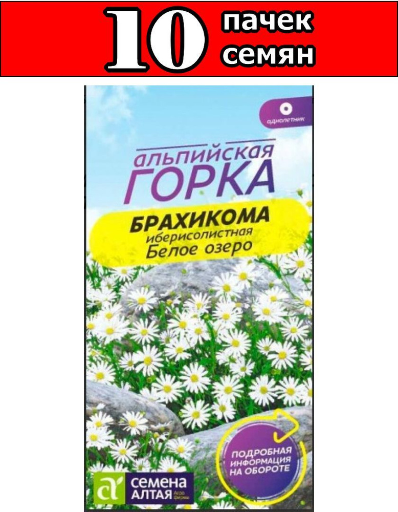 Брахикома Белое озеро 0,05г Одн 20см (Семена Алтая) Альпийская горка  #1