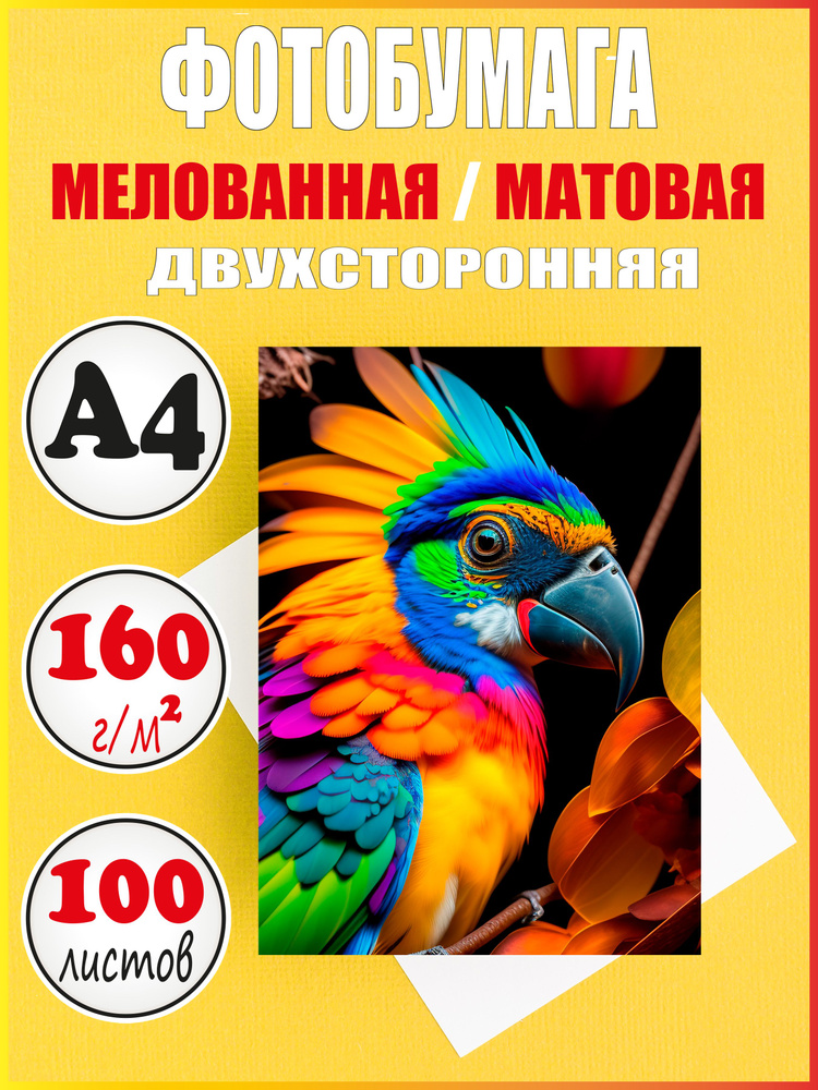 Фотобумага матовая А4 / 160 г/м2 мелованная двухсторонняя #1