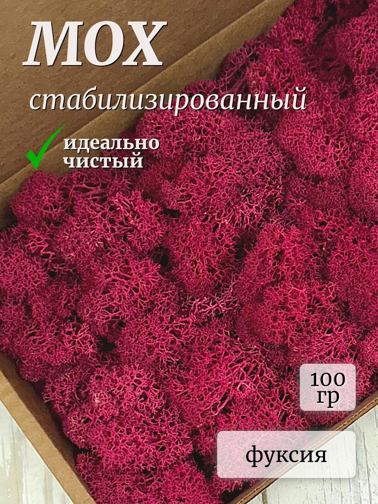 Мох стабилизированный ягель цветной 100 гр розовый/фуксия  #1