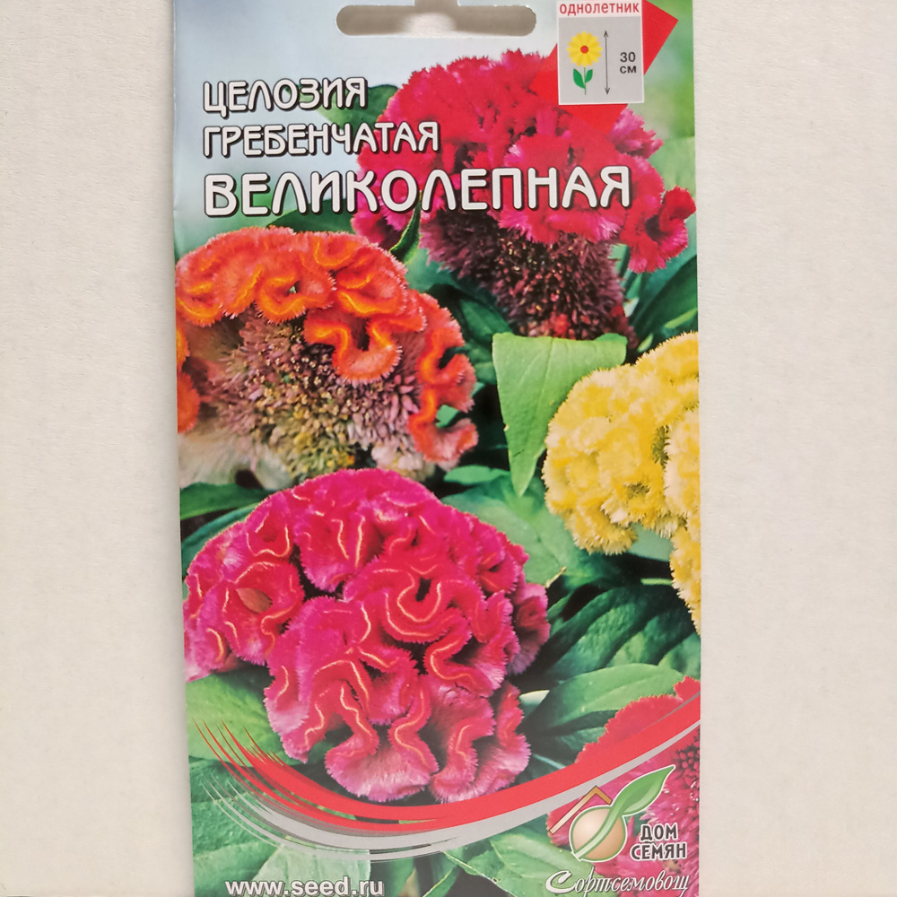 Целозия гребенчатая Великолепная, 80 семян #1