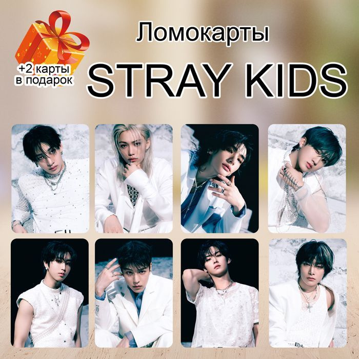 Набор карт Stray Kids GIANT #1