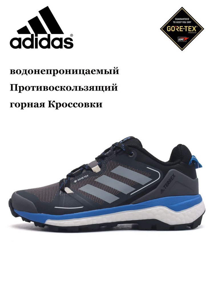 Кроссовки adidas Terrex Skychaser 2 #1