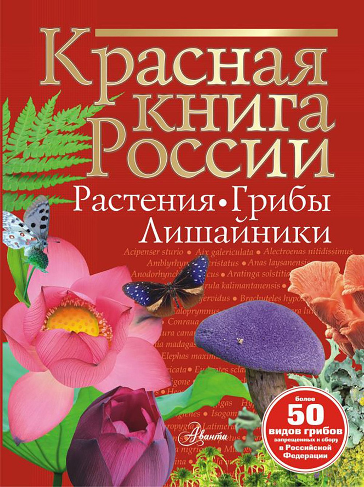 Красная книга России. Растения, грибы, лишайники | Пескова Ирина Михайловна  #1