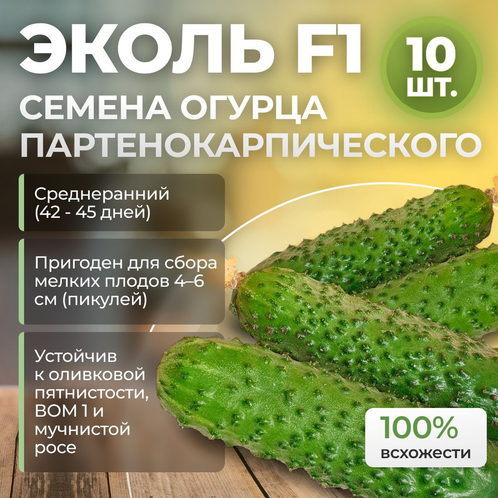 Эколь F1 семена огурца среднераннего, 10 шт. (Syngenta / ALEXAGRO). Высокоурожайный, партенокарпический #1