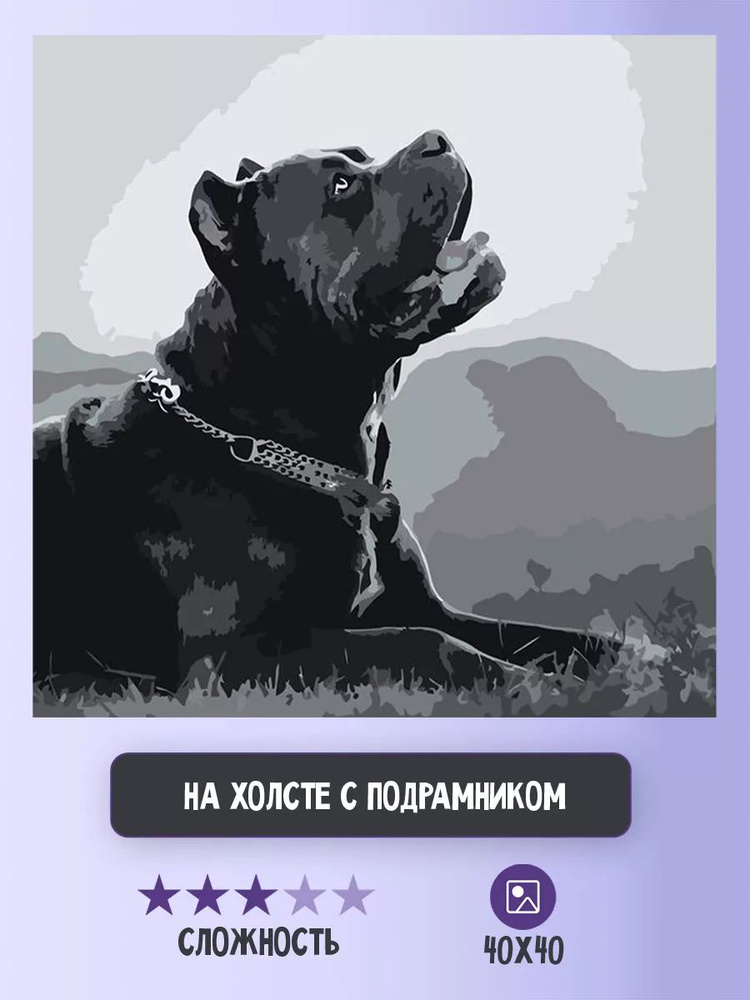 Картина по номерам Цветное на холсте с подрамником "Собака Кане корсо чернобелая чб" Раскраска 40x40 #1