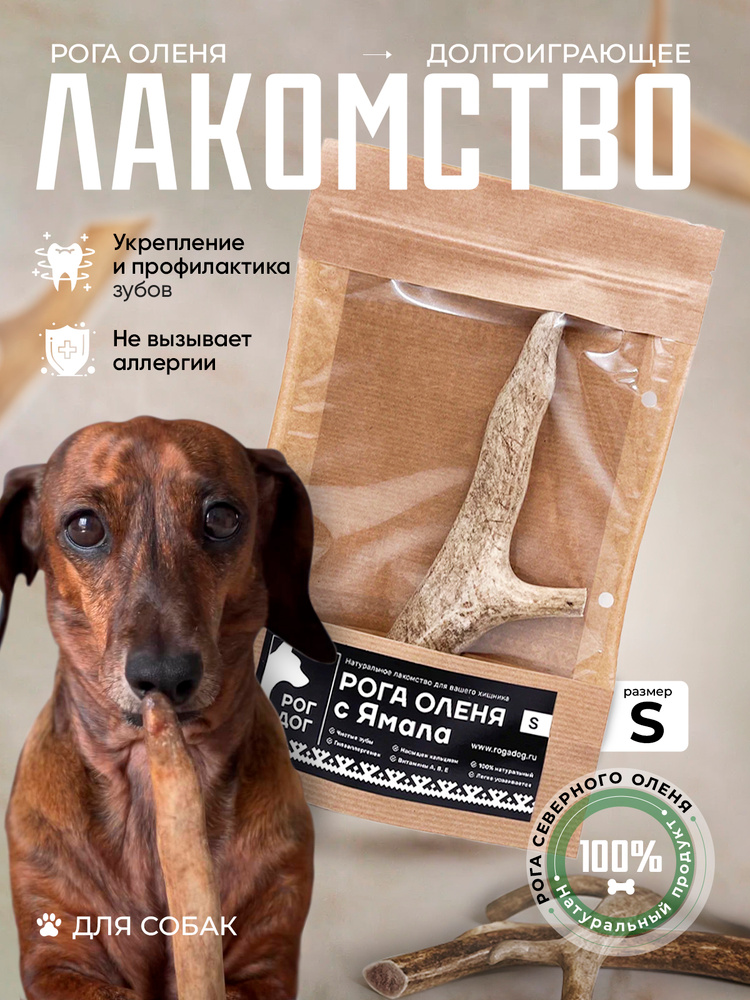 Лакомство Рога оленя для собак Рог Дог (Размер S, 1 рог, 30-50 гр.) #1