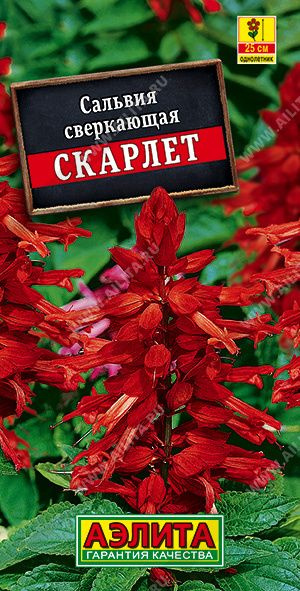 Семена Сальвия сверкающая Скарлет, агрофирма Аэлита #1