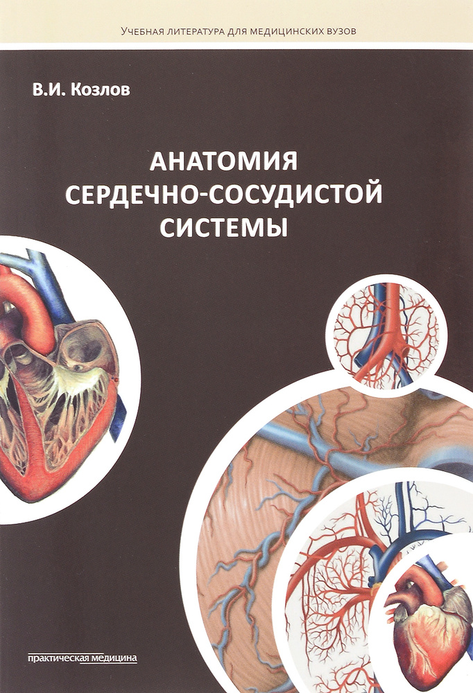 Анатомия сердечно-сосудистой системы. Учебное пособие | Козлов Валентин Иванович #1